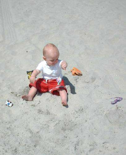 Atticus the beach stud.jpg 28.3K